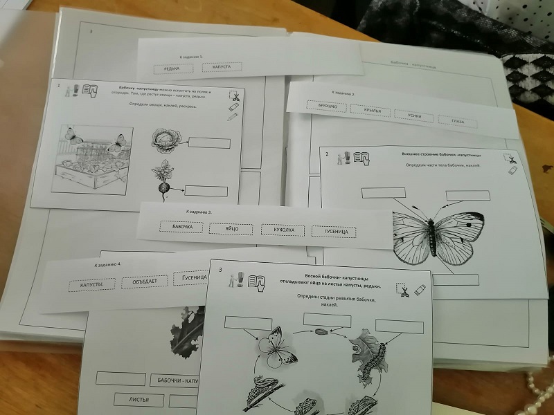 metodicheskoe obedinenie uchitelej korrekcionnyh klassov 5